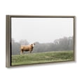 thumbnail image 3 of Stupell Industries Highland Grace Cattle Brown Framed Floater Canvas Wall Art design by J:L Design, 21 x 31, 3 of 9