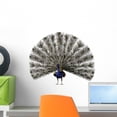 thumbnail image 1 of Peacock Wall Mural by Wallmonkeys Peel and Stick Graphic (18 in H x 18 in W) WM108558, 1 of 4