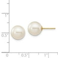 thumbnail image 3 of Real 14kt Yellow Gold 9-10mm White Round Freshwater Cultured Pearl Stud Post Earrings; for Adults and Teens; for Women and Men, 3 of 3