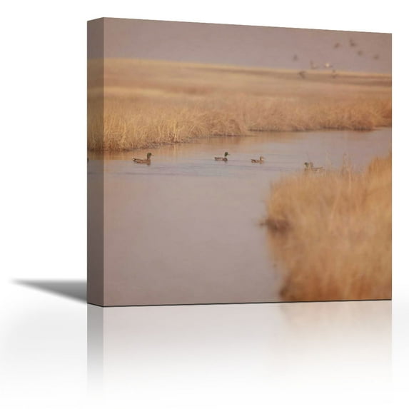 Canal Ducks - Contemporary Fine Art Giclee on Canvas Gallery Wrap - wall décor - Art painting - 23 x 23 Inch - Ready to Hang