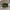 green, variant on Lovableguy Velvet Accent Chair,Mid-Century Modern Armchair with Metal Legs and Pillow,Single Sofa Side Chair for Living Room Reading Room,Green