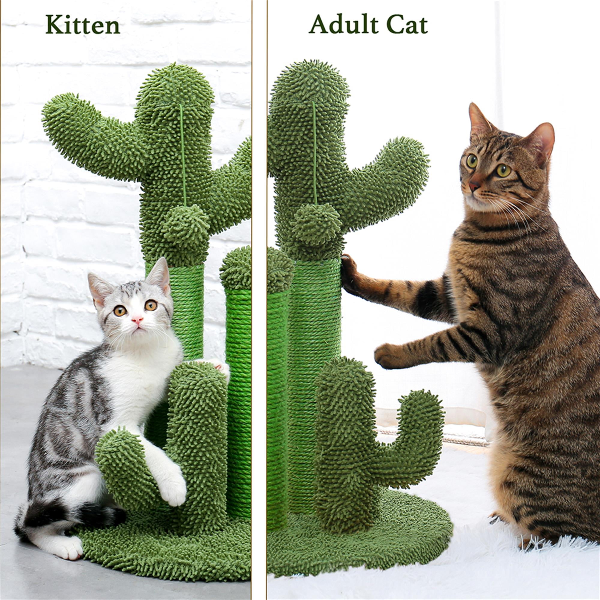 Kadyn 29" Cat Scratching Post, Cactus Cat Scratcher Kitten Scratch Post for Indoor Cats, Claw Cat Tree with Dangling Ball for Kitties, Green L