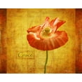 thumbnail image 2 of Vitaly Geyman 14x12 White Modern Wood Framed Wall Art Titled - Velvet Poppy Grace, 2 of 5