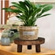 thumbnail image 5 of Madera maciza, Mini soporte para maceta, taburete de madera maciza, soporte redondo para maceta El 14x6x9cm kusrkot Soporte portátil para macetas, 5 of 8