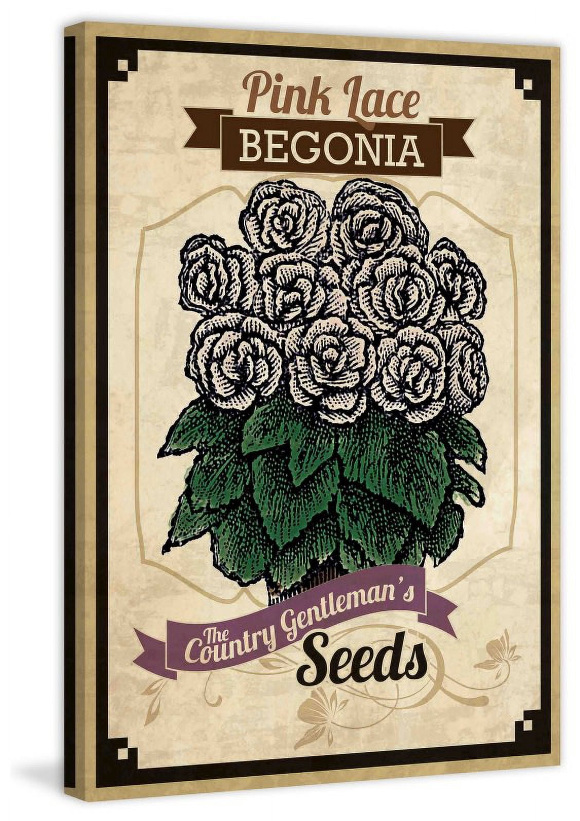 Marmont Hill "Flower Packet Begonia" Painting Print on Canvas