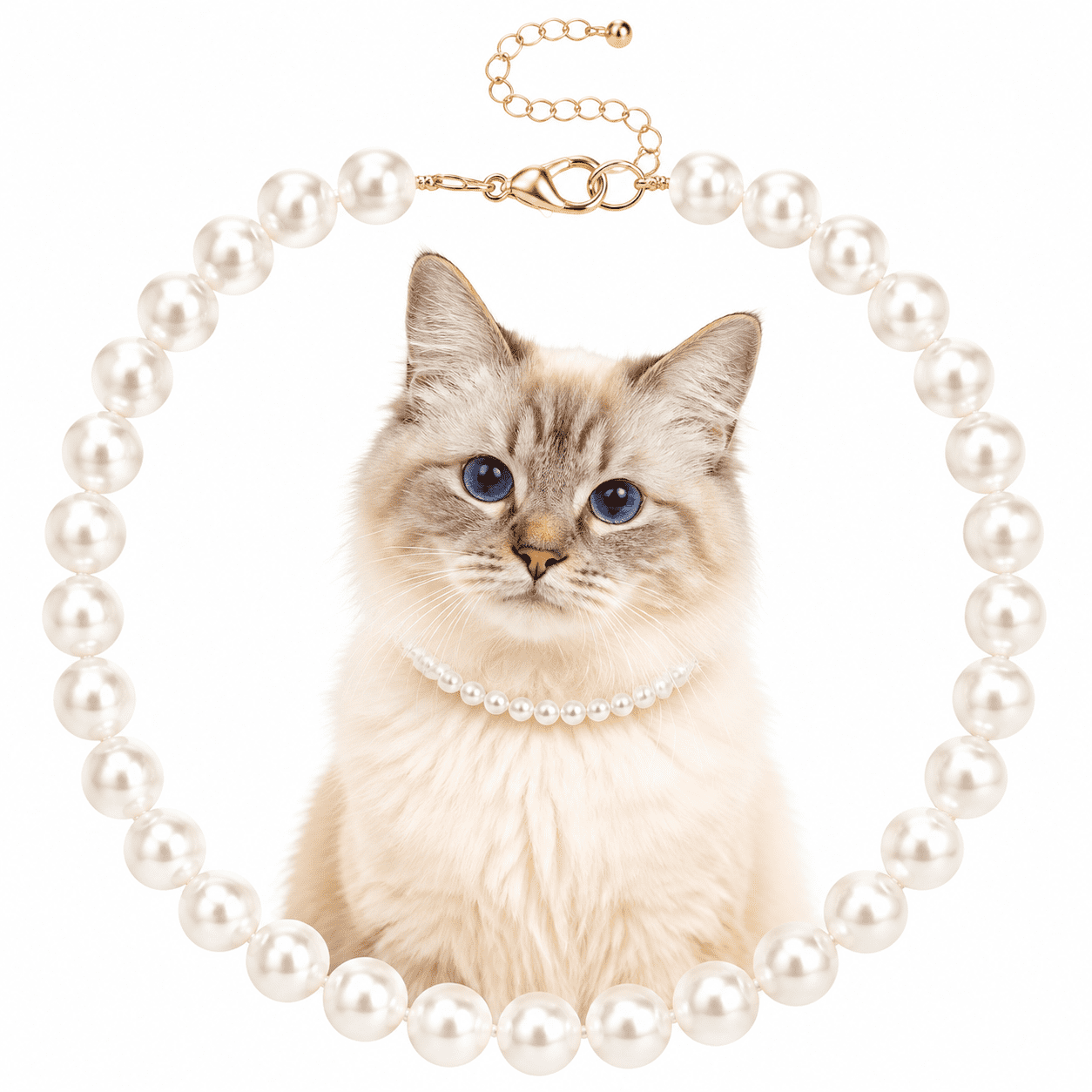 Fykuq White Pearl Pet Necklace Adjustable Beaded Jewelry Collar Elegant Fashion Accessory for Small Dogs Puppies Kittens Pet Gift