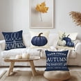 thumbnail image 6 of Blue Pumpkin Pillow Covers 16x16 Inch Set of 4 Hello Pumpkin Indoor Outdoor Decorative Throw Pillow Cover Farmhouse Autumn Pillow Case Thanksgiving Harvest Bedroom Sofa Cushion Couch Decor, 6 of 6