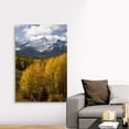 thumbnail image 4 of Great Big Canvas "Colorado, San Juan Mountains, Uncompahgre National Forest"  by Don Grall Olive Green Black   Wrapped Canvas Print Wall Artwork, 4 of 7