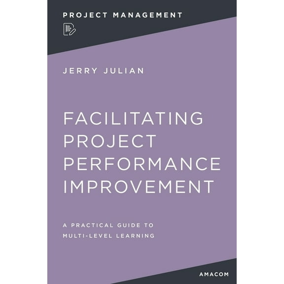 Facilitating Project Performance Improvement: A Practical Guide to Multi-Level Learning, (Paperback)