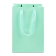 thumbnail image 4 of Large Mint Gift Bags, 7" x 10", 3 Count, by Way To Celebrate, 4 of 6