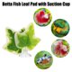 thumbnail image 2 of 4uds Betta Pez Hoja Almohadilla con Ventosa, Verde Blanco, 2.76x2.76, 2 of 7