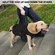 thumbnail image 2 of Arnés de levantamiento de perros Coodeo, ajustable, acolchado, con soporte, L, negro, L, 2 of 6