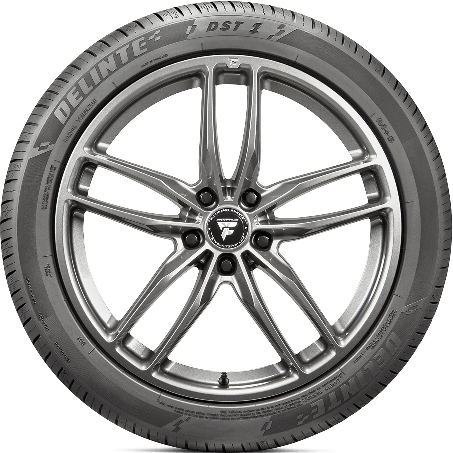 Delinte DST 1 205/55ZR16 205/55R16 94W XL High Performance a/s All
