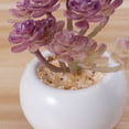 thumbnail image 3 of FENGGUIQU 4Ud Plantas Falsas Suculentas De Plástico Simulación Decorativa Para Habitación Y, 3 of 7