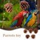 thumbnail image 4 of 10 piezas de piñas naturales para masticar loros, accesorios para jaulas de pájaros, juguete para la dentición de loros, juguete para morder en jaulas de pájaros para pájaros pequeños y medianos, 4 of 7