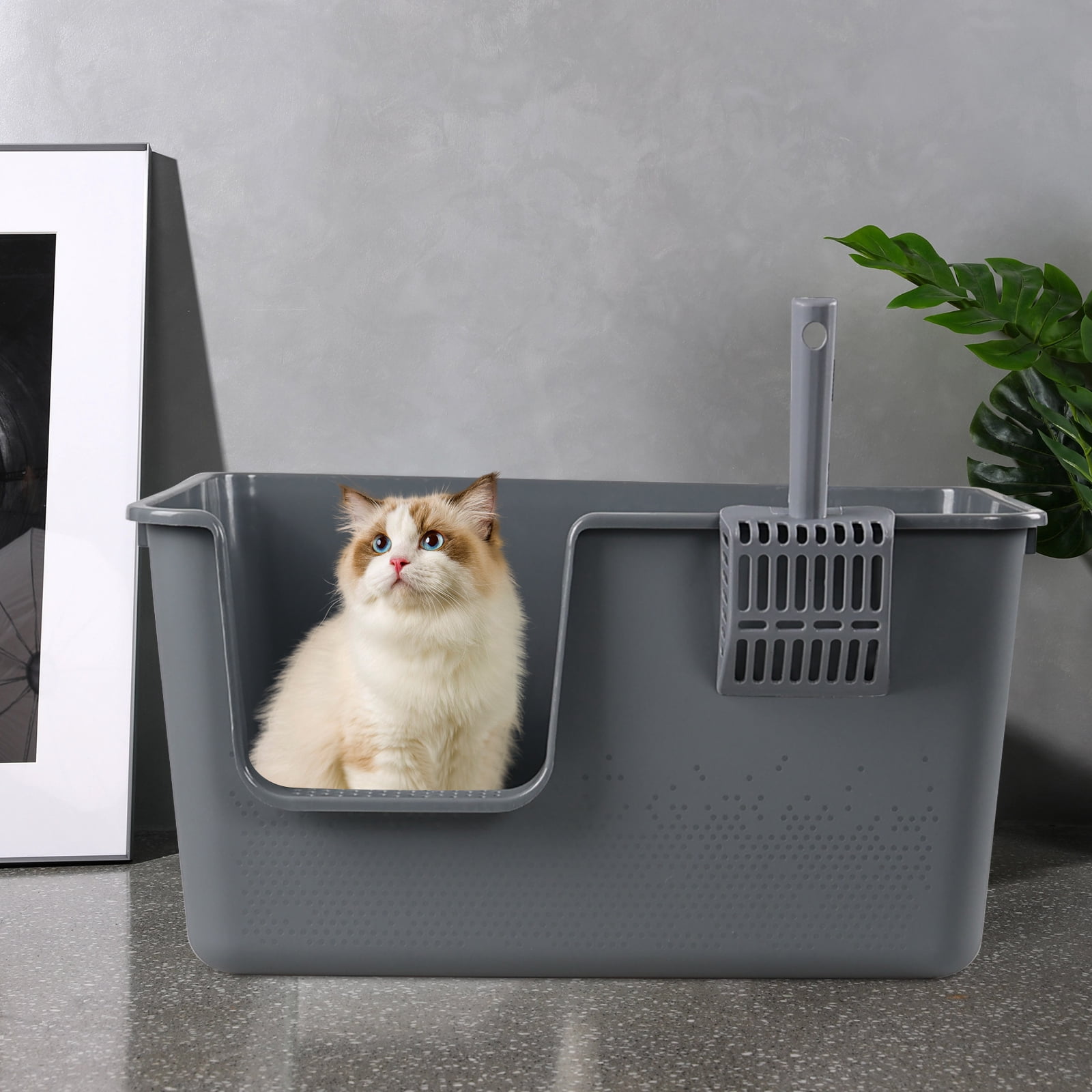 Lesbin 4-Pack Open Top Large Cat Litter Box with High Sided, 12.8" Heigh Anti-Splashing Kitty Litter Box with Scoop, Gray