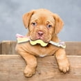 thumbnail image 5 of Durable Interactive Dog Chew Toy for Aggressive Chewers Long Lasting Bone Design Promotes Health and Playful Engagement for All Sized Dogs, 5 of 5