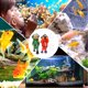 thumbnail image 4 of AURARMLET 2Ud Para Acuario Con Buceador Y Materiales Premium, 4 of 5