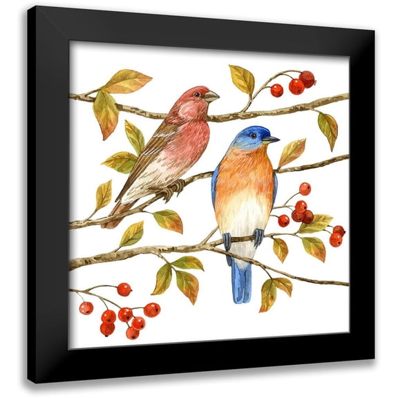 Maday, Jane 12x12 Black Modern Framed Museum Art Print Titled - Birds and Berries IV