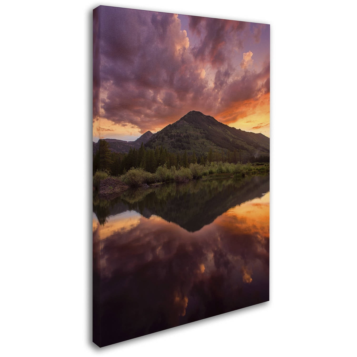 Trademark Fine Art "Glamor in the Sky" Canvas Art by Michael Blanchette Photography