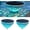 2PCS, variant on Solar Floating Pool Light with Fish Projection, Rechargeable Submersible LED Pool Decor, Waterproof Color Changing, Mesmerizing Fish Projection Pool Light (4Pcs)