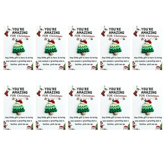 Fzsteel Christmas Cards 10 Pieces Pocket-Sized Festive Santa Design Organza Gift Bag Holiday Greeting Card Insert