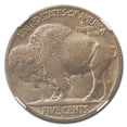 thumbnail image 3 of 1919-D Buffalo Nickel MS-63 NGC, 3 of 3