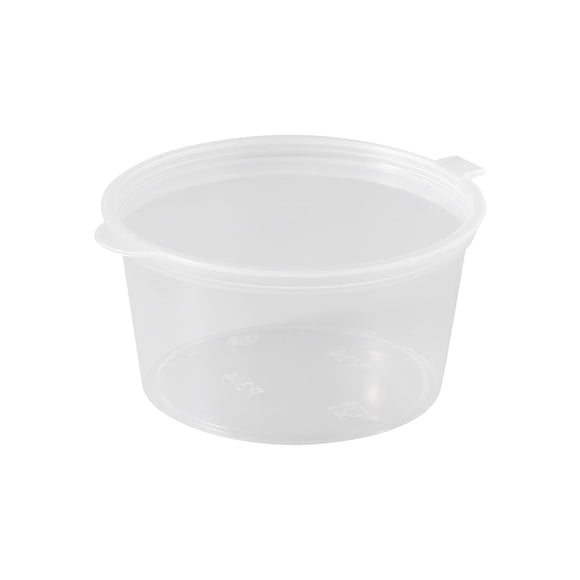 Disposable Plastic Dipping Boxes for Takeout - Food Grade Freezer Safe Seasoning Containers for Scallion Ginger Lemon and Fruit Storage