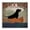 Black Dog Canoe, variant on Stupell Industries Coastal Black Dog Canoe Company Black Floating Frame Canvas Art, 18 x 18, by Ryan Fowler