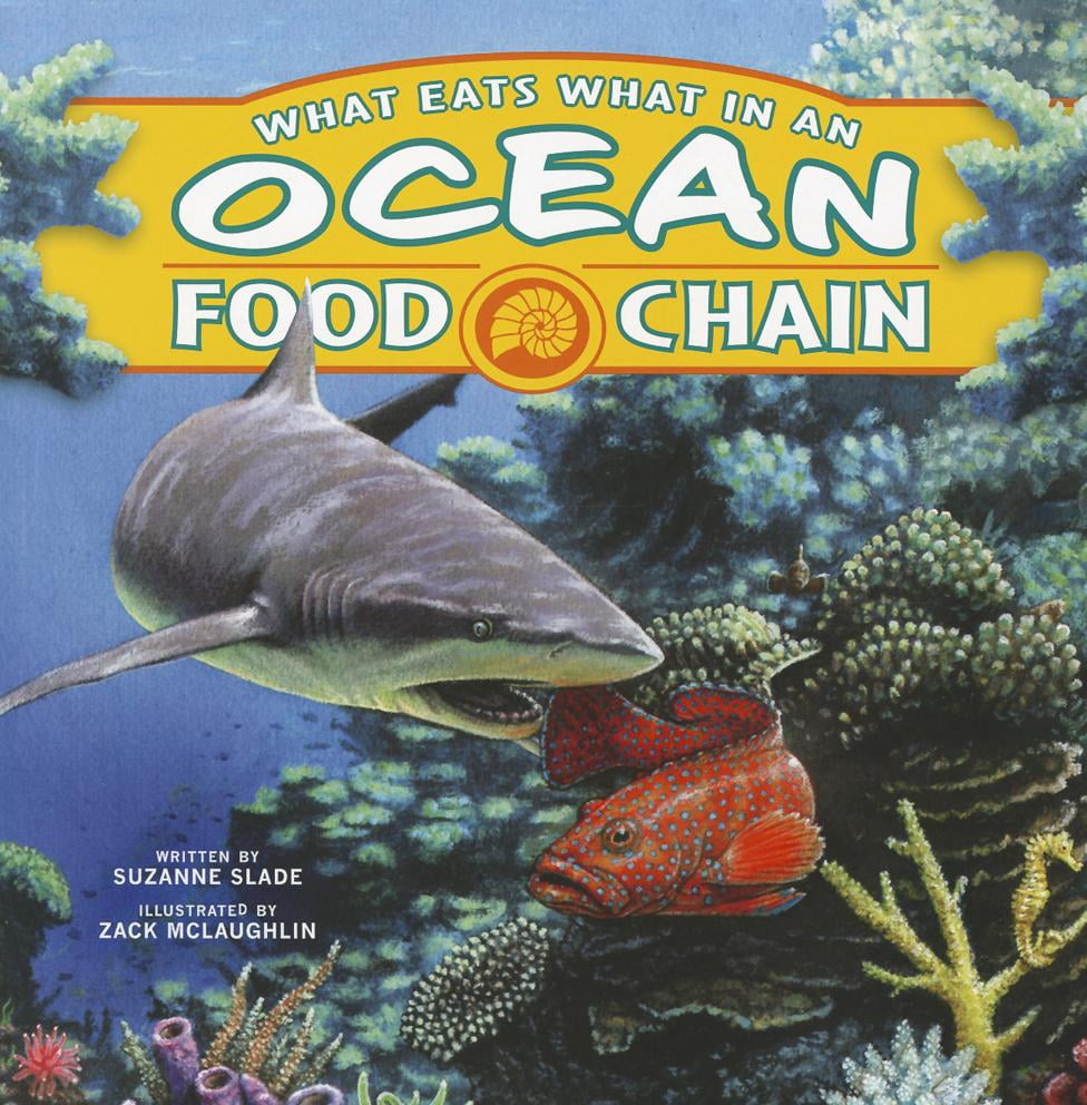What Eats What in an Ocean Food Chain - Walmart.com - Walmart.com