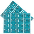 thumbnail image 1 of Pendaflex PFX06621 Color Coded Label, 1 of 1