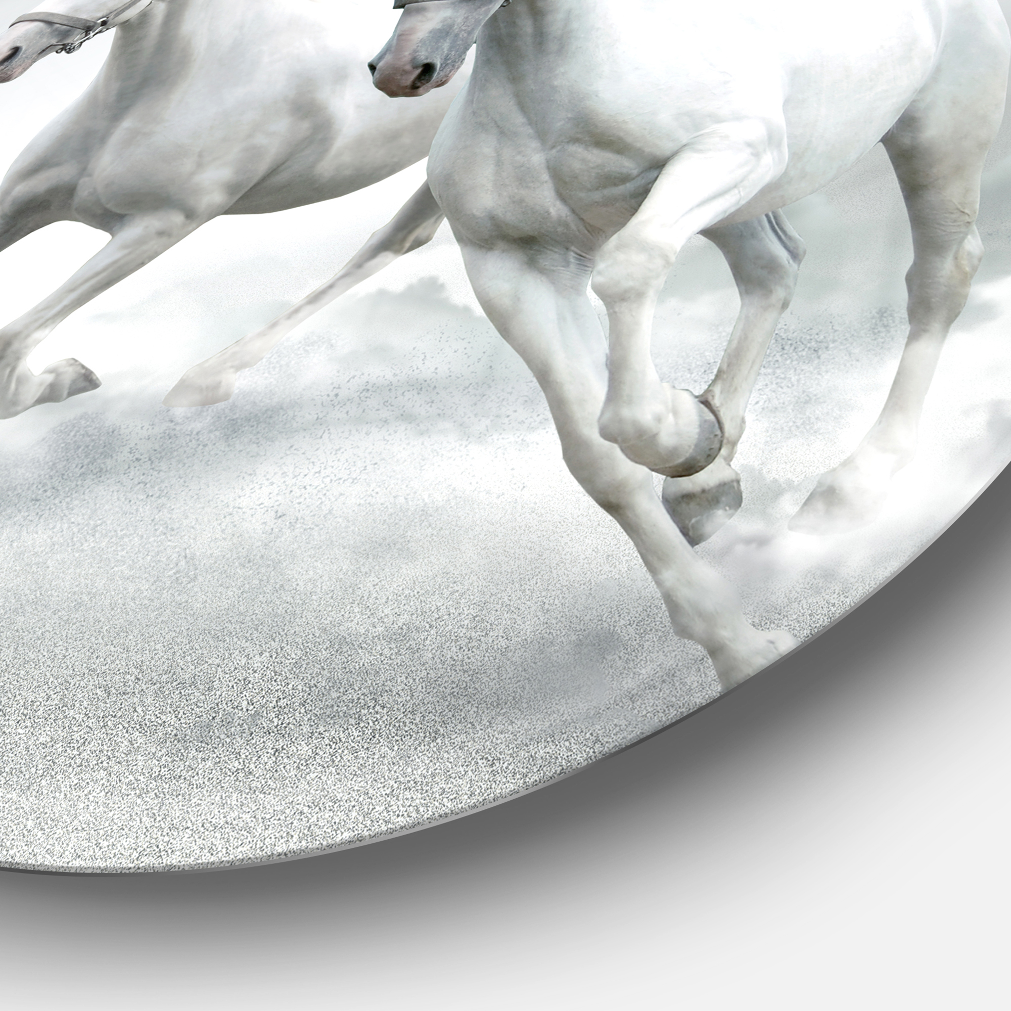 Designart 'Running White Horses' Ultra Glossy Animal Oversized Metal Circle Wall Art