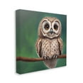 thumbnail image 3 of Gazing Spotted Owl Nature Animals & Insects Painting Gallery Wrapped Canvas Print Wall Art, 3 of 7