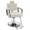Champagne, variant on BarberPub Recliner Hydraulic Barber Chair Hair Spa Salon Styling Beauty Equipment 3127