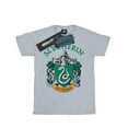 thumbnail image 1 of Harry Potter Mens Slytherin Crest T-Shirt, 1 of 5
