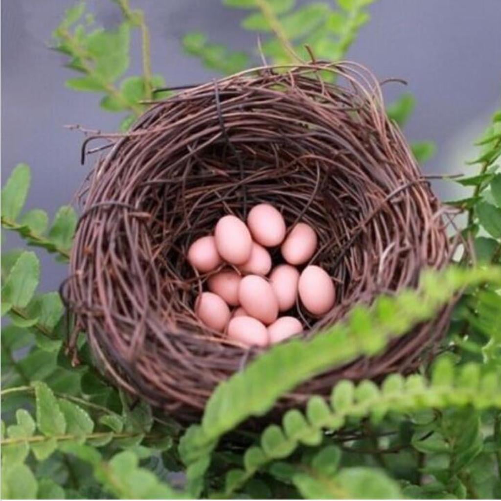 Vine Birds House Bird Nest Feeder Home Garden Decor Nesting Birdhouse 6cm 