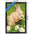 thumbnail image 3 of Avanti - Bunny Smelling Flower Wall Poster, 14.725" x 22.375" Framed, 3 of 5