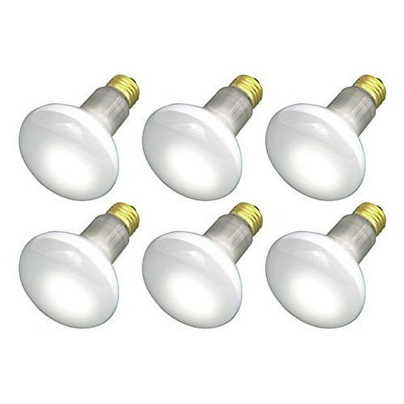 Pack of 6 30W R20 Flood Light Bulbs, 120V, E26 Medium Base, FL