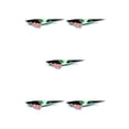 thumbnail image 2 of Speravity 3D Car Sticker Funny Reflective Decal Eyes Styling Badge Bumper Truck Stickers Peeking Accessories Simulation Decoration Type2 NO2 Speravity CBP043651, 2 of 4