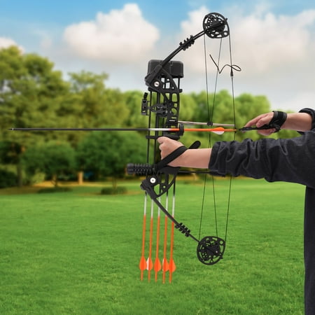 DENEST 35-70lbs 329fps Adult Compound Bow Kit Archery Hunting Shooting w/ 12 Arrows