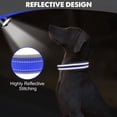 thumbnail image 4 of Collar para perros Joytale acolchado de neopreno ajustable para perros grandes, 4 of 5
