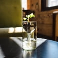 thumbnail image 2 of Remark Glass Self-Watering Planter (Clear XL), 2 of 2