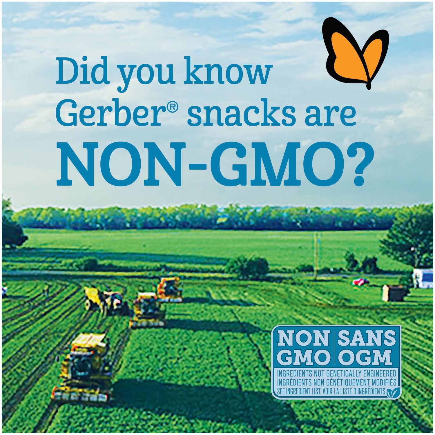 Céréales bébés GERBER® Multigrains yogourt, pomme, poire, banana 227 g 227 GR