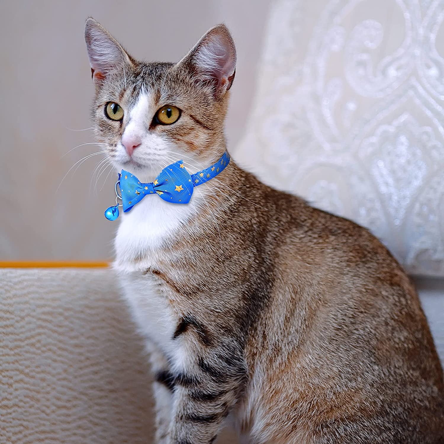 Brown Designer Cat Collar Breakaway - Bow tie Removable Kitten Bell LV  Leather