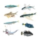 thumbnail image 2 of 8 Uds. Modelos de animales marinos figuras de animales marinos juego de decoración de escritorio juguete de aprendizaje criaturas marinas juguetes, 2 of 9