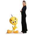 thumbnail image 2 of Looney Tunes Tweety Bird Life Size Statue, 2 of 4