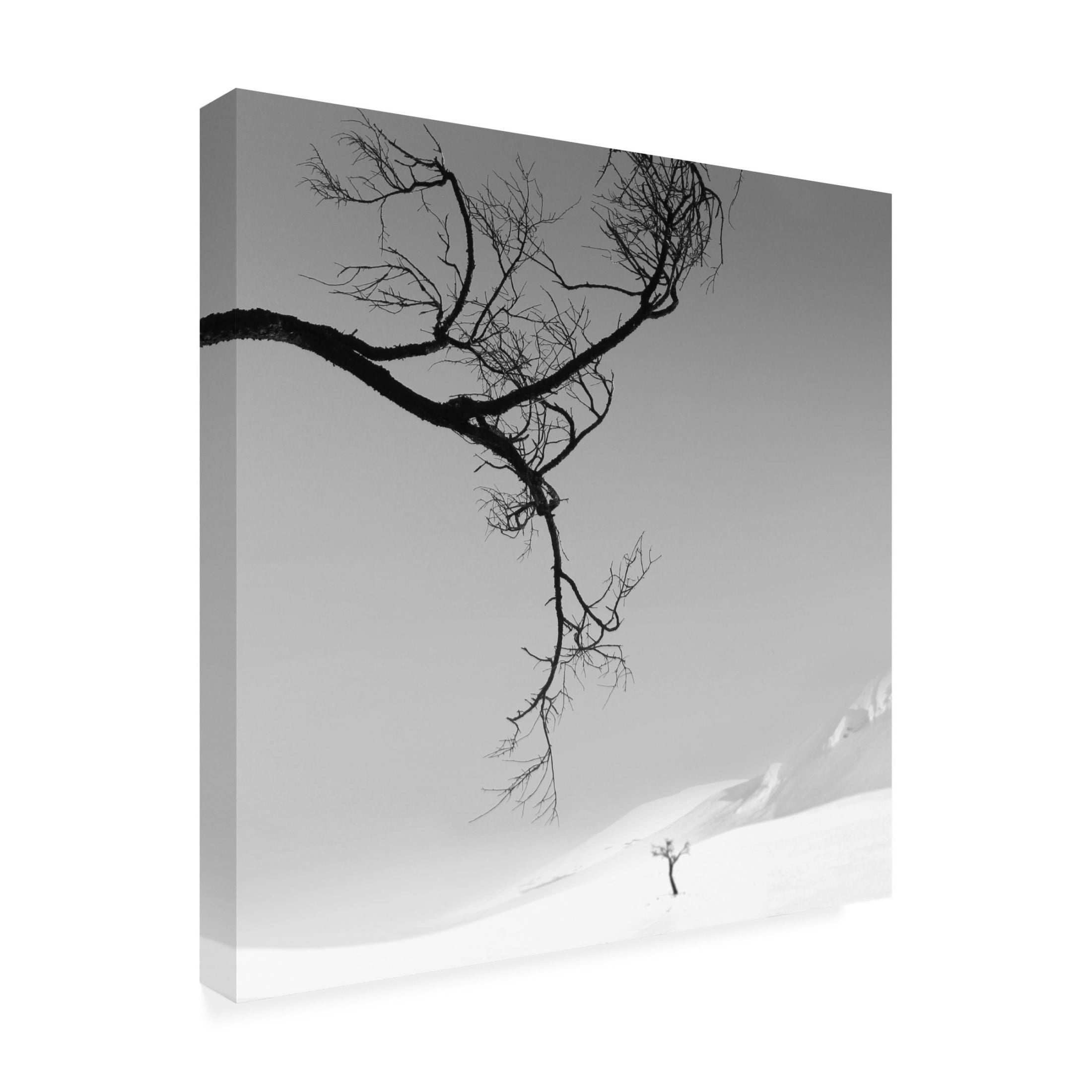 Trademark Fine Art MOSTAFA NODEH Eegis Canvas Wall Art
