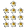 thumbnail image 3 of Here's a refined and creative product description for your **Hawaii Style Flower Hair Clips**:\n\n \n\n🌸 **10PCS Hawaii Style Flower Hair Clips –, 3 of 3
