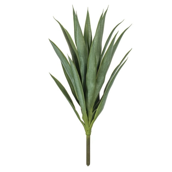 24" Green Yucca Stem 2/Bag