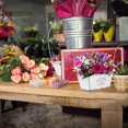 thumbnail image 1 of FESTFENDS Simple Flower Bucket De Hierro Con Asa Para Y Plantas, 1 of 8